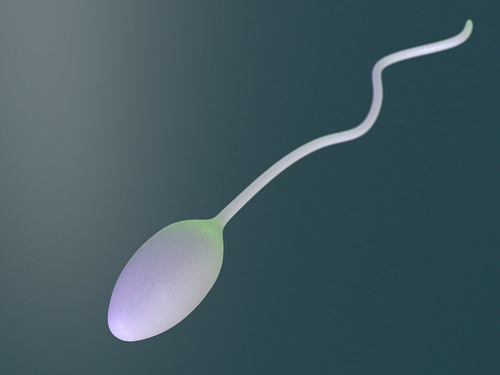Sperm girl