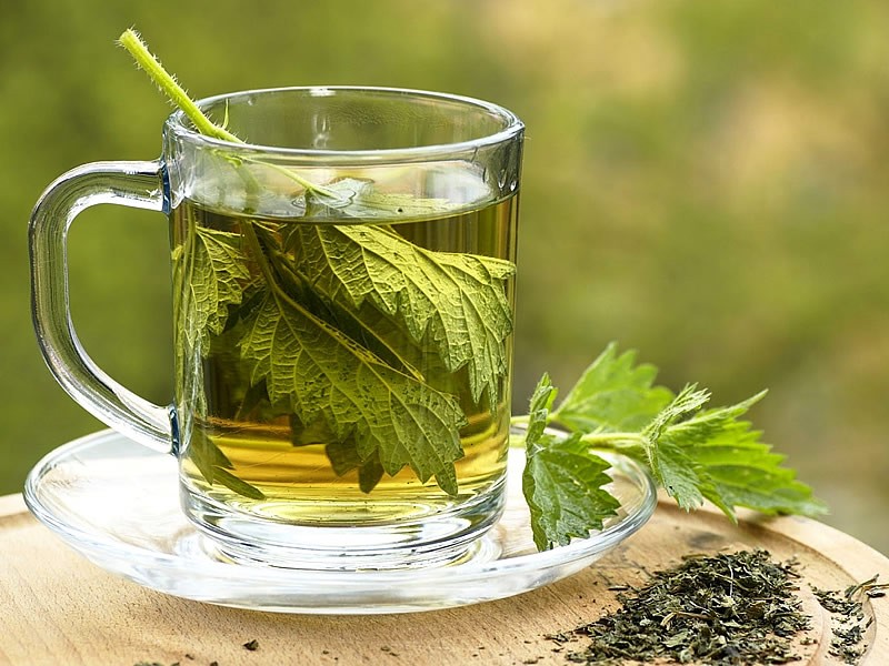 Isırgan Çayı Faydaları ve Zararları Nelerdir? Nasıl Yapılır?