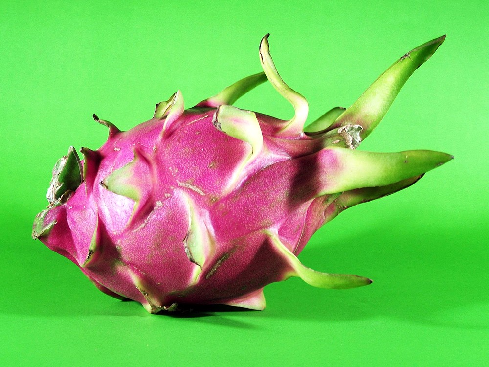 Pitaya Meyvesi Nedir? Faydaları Nelerdir? Türkiye'de Yetişir mi?