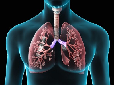 Akciğer Temizleme Kürü Nasıl Yapılır?