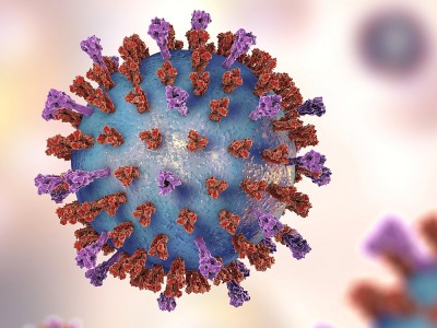 Beta Virüsü Nedir? Belirtileri Nelerdir? Neden Olur? Nereden Bulaşır?