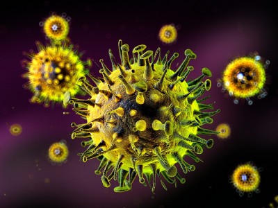 Bunya Virüsü Ne Demek? İnsandan İnsana Bulaşır mı? Belirtileri Nelerdir?