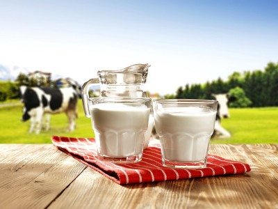 İnek Sütü Alerjisi Belirtileri Nelerdir? Diyeti, Normal Değeri Nedir? Ne Zaman Ortaya Çıkar?