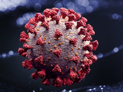 Koronavirüs Lambda Varyantı Nedir? Nerede Görüldü? Riskleri Nelerdir?