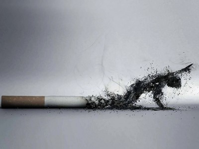 Sigaranın Zararları Nasıl Azaltılır? Yan Etkileri Nasıl Temizlenir?
